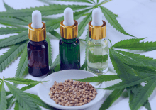 Iowa Active Medical Marijuana Patients in 2025.png