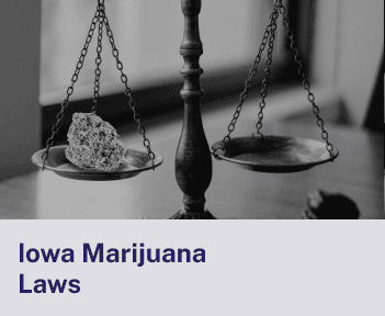 Iowa Marijuana Laws.png