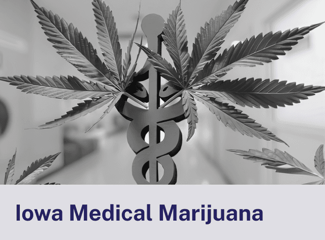 Iowa Medical.png